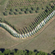 Illustration for article titled The Odd and Mesmerizing Aerial Photos of Klaus Leidorf